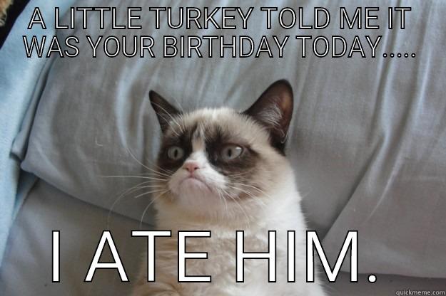 A LITTLE TURKEY TOLD ME IT WAS YOUR BIRTHDAY TODAY..... I ATE HIM. Grumpy Cat