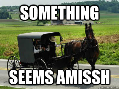 Something Seems Amissh - Something Seems Amissh  Amish pun pony