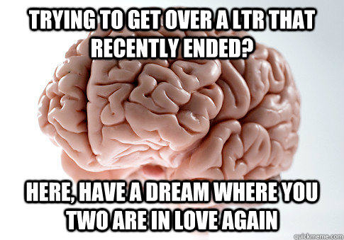trying to get over a LTR that recently ended? here, have a dream where you two are in love again   ScumbagBrain