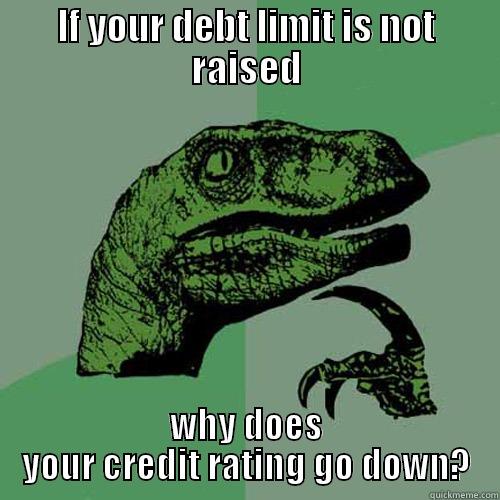 IF YOUR DEBT LIMIT IS NOT RAISED WHY DOES YOUR CREDIT RATING GO DOWN? Philosoraptor