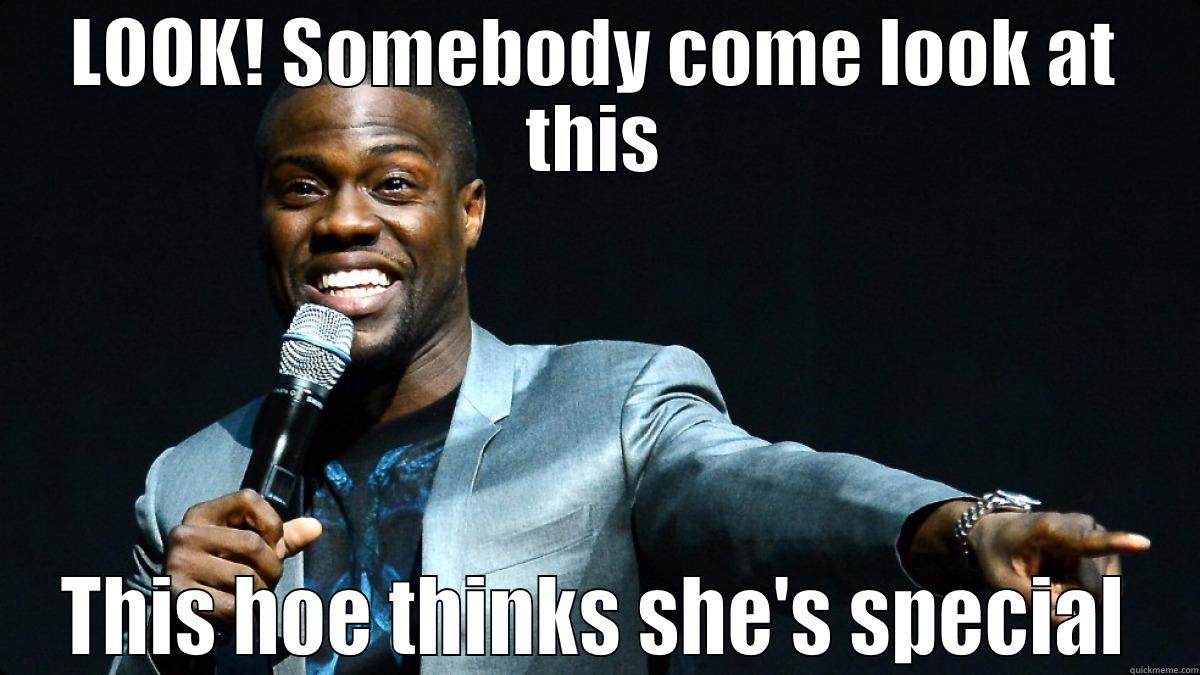 Kevin Hart Meme - LOOK! SOMEBODY COME LOOK AT THIS THIS HOE THINKS SHE'S SPECIAL Misc