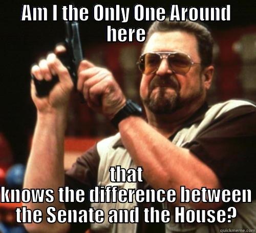 AM I THE ONLY ONE AROUND HERE THAT KNOWS THE DIFFERENCE BETWEEN THE SENATE AND THE HOUSE? Am I The Only One Around Here