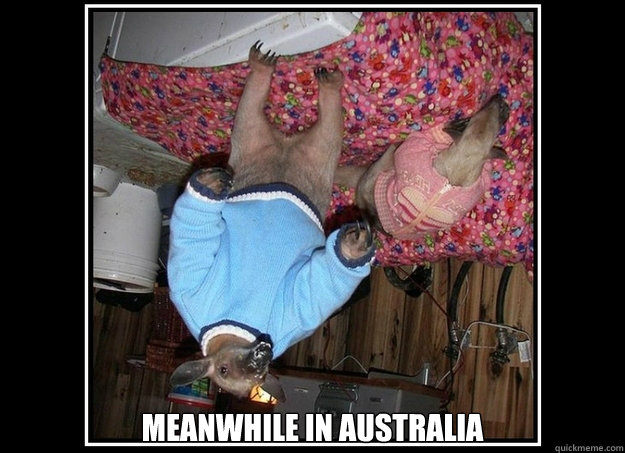  meanwhile in australia  