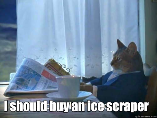  I should buy an ice scraper  Rich cat is rich