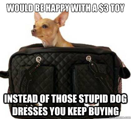 Would be happy with a $3 toy Instead of those stupid dog dresses you keep buying  Embarrassed Dog