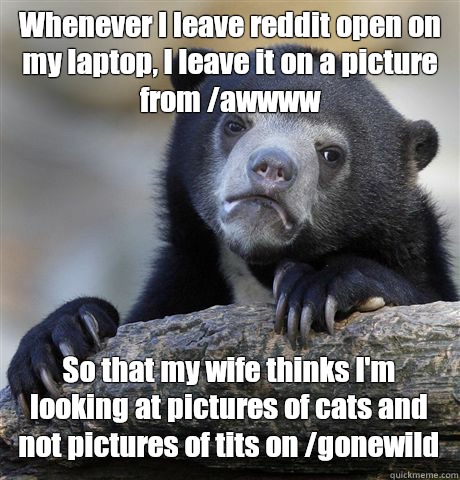 Whenever I leave reddit open on my laptop, I leave it on a picture from /awwww So that my wife thinks I'm looking at pictures of cats and not pictures of tits on /gonewild  Confession Bear