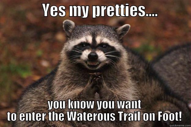               YES MY PRETTIES....            YOU KNOW YOU WANT TO ENTER THE WATEROUS TRAIL ON FOOT! Evil Plotting Raccoon