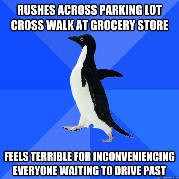 Rushes across parking lot cross walk at grocery store Feels terrible for inconveniencing everyone waiting to drive past  Socially Awkward Penguin