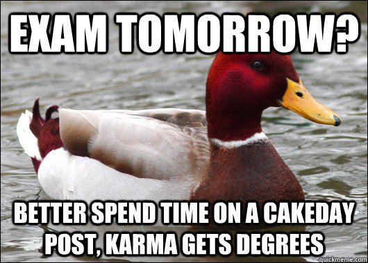 Exam tomorrow? Better spend time on a cakeday post, karma gets degrees  Malicious Advice Mallard