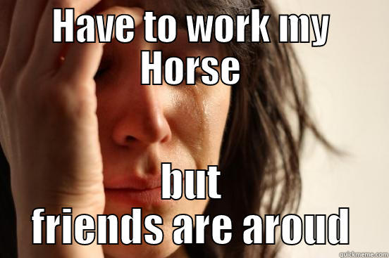 HAVE TO WORK MY HORSE BUT FRIENDS ARE AROUD First World Problems