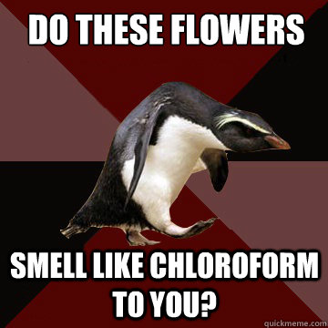  Do these flowers
 smell like chloroform to you?  Socially Insane Penguin