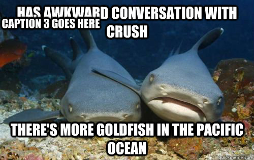 Has awkward Conversation with crush there's more goldfish in the pacific ocean Caption 3 goes here  Compassionate Shark Friend