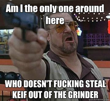 Am I the only one around here WHO DOESN'T FUCKING STEAL KEIF OUT OF THE GRINDER   Pedantic Walter