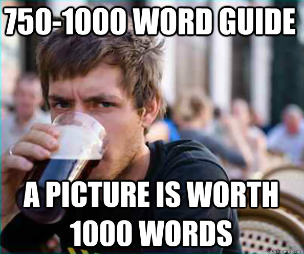 750-1000 word guide A picture is worth 1000 words  Lazy College Senior