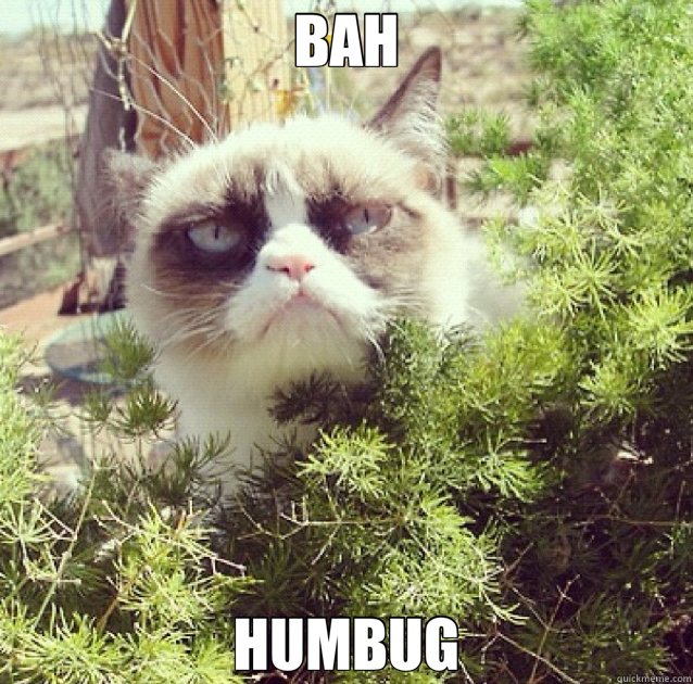 BAH HUMBUG - BAH HUMBUG  funny cat