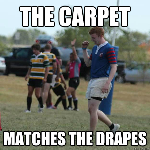 The Carpet Matches the drapes Success Ginger quickmeme