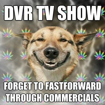 dvr tv show forget to fastforward through commercials  Stoner Dog