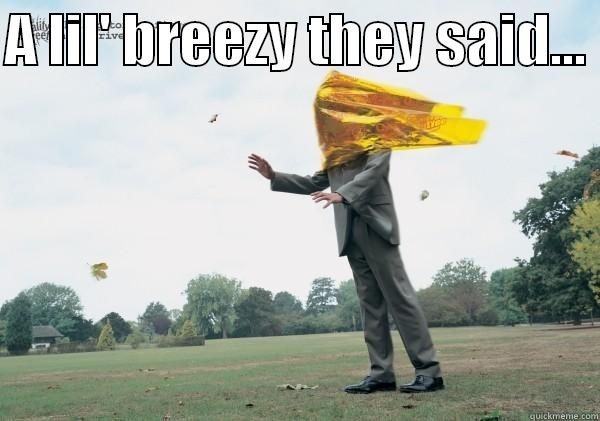 Lil' breezy? - A LIL' BREEZY THEY SAID...   Misc