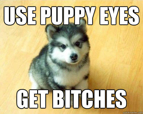 Use puppy eyes get bitches - Use puppy eyes get bitches  Baby Courage Wolf