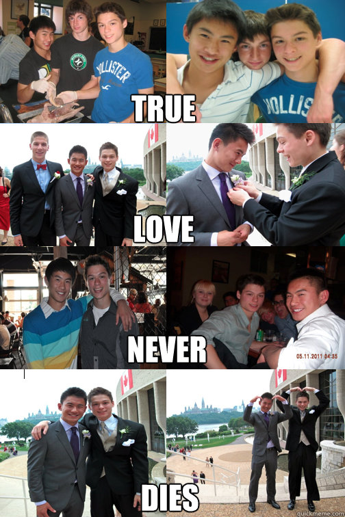 True Love Never Dies  Gardner