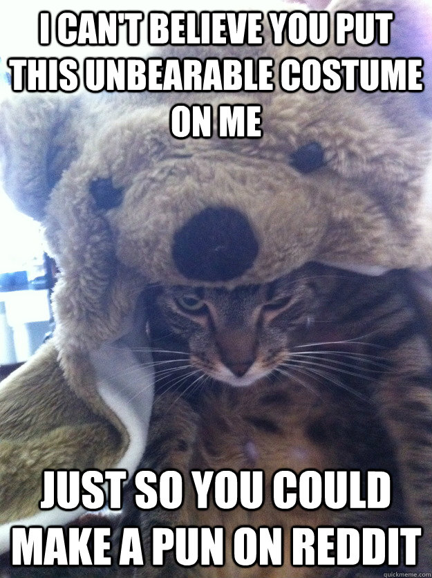 I can't believe you put this unbearable costume on me just so you could make a pun on reddit - I can't believe you put this unbearable costume on me just so you could make a pun on reddit  Disdainful Cat