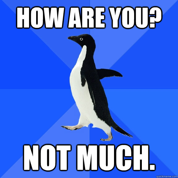 how are you? not much.  Socially Awkward Penguin