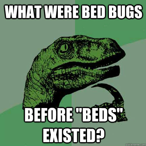 WHAT WERE BED BUGS BEFORE 