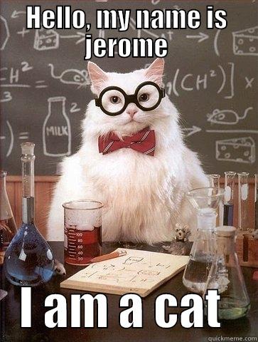 HELLO, MY NAME IS JEROME    I AM A CAT    Chemistry Cat