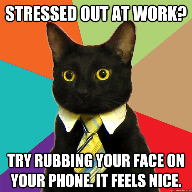 Stressed out at work? try rubbing your face on your phone. It feels nice.   Business Cat