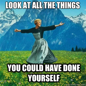 Look at all the things you could have done yourself - Look at all the things you could have done yourself  And look at all the fucks I give
