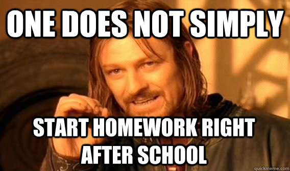 ONE DOES NOT SIMPLY START HOMEWORK RIGHT AFTER SCHOOL  One Does Not Simply