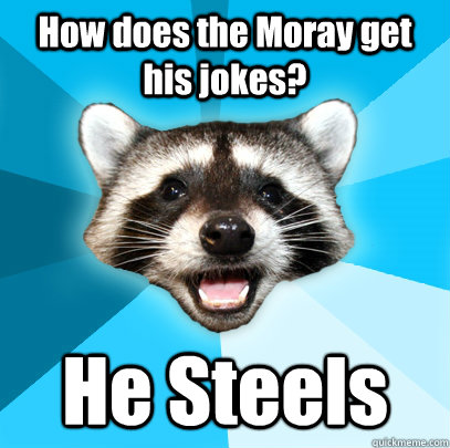 How does the Moray get his jokes? He Steels  Lame Pun Coon