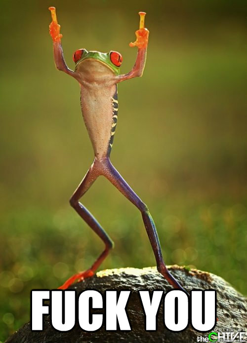  Fuck you -  Fuck you  Pissed off Frog