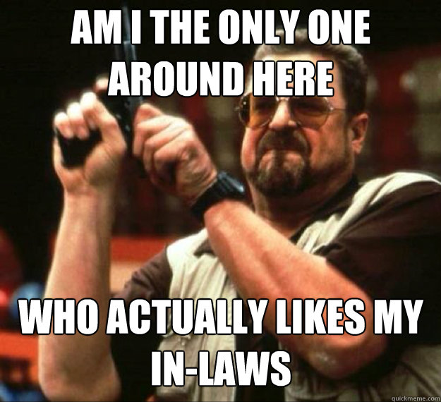 AM I THE ONLY ONE AROUND HERE Who actually likes my in-laws  