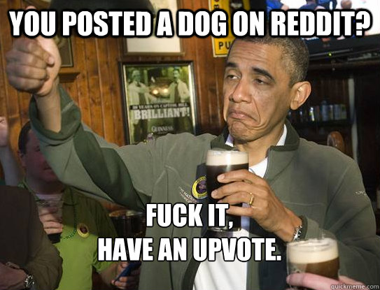 You posted a dog on reddit? Fuck it,
have an upvote.  Upvoting Obama