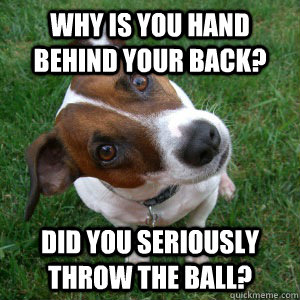 Why is you hand behind your back? Did you seriously throw the ball?  