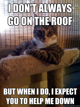 I don't always go on the roof but when I do, I expect you to help me down  The Most Interesting Cat in the World