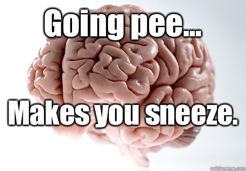 Going pee... Makes you sneeze.    Scumbag Brain