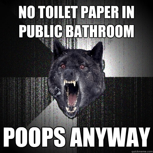 No Toilet paper in public bathroom poops anyway  Insanity Wolf