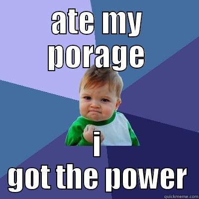 ATE MY PORAGE I GOT THE POWER Success Kid