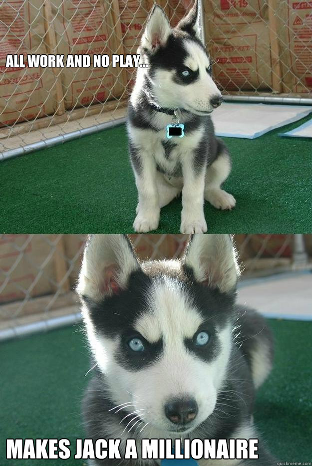 all work and no play... makes jack a millionaire  Insanity puppy