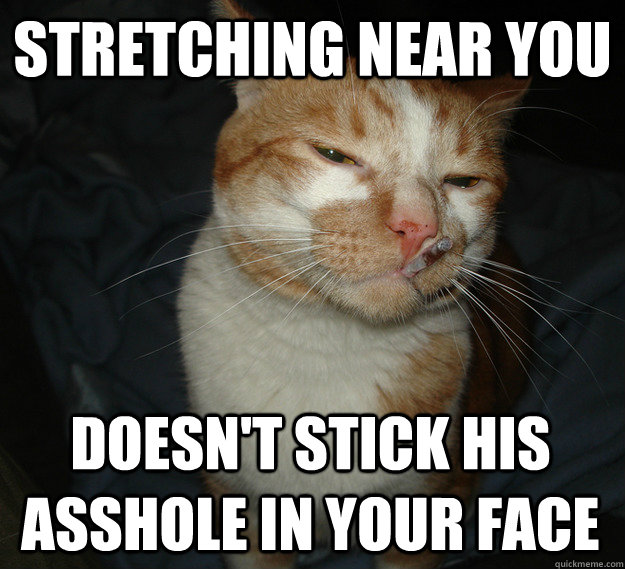Stretching near you doesn't stick his asshole in your face  Cool Cat Craig