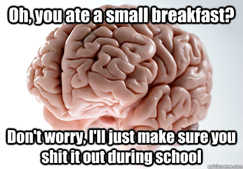 Oh, you ate a small breakfast? Don't worry, I'll just make sure you shit it out during school    Scumbag Brain