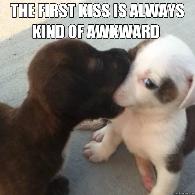 THE FIRST KISS IS ALWAYS KIND OF AWKWARD   - THE FIRST KISS IS ALWAYS KIND OF AWKWARD    Misc
