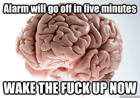 Alarm will go off in five minutes WAKE THE FUCK UP NOW  - Alarm will go off in five minutes WAKE THE FUCK UP NOW   Scumbag Brain