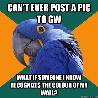 can't ever post a pic to gw what if someone I know recognizes the colour of my wall?  Paranoid Parrot