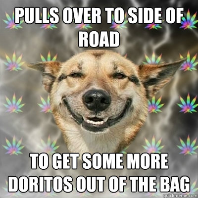 pulls over to side of road to get some more doritos out of the bag  Stoner Dog