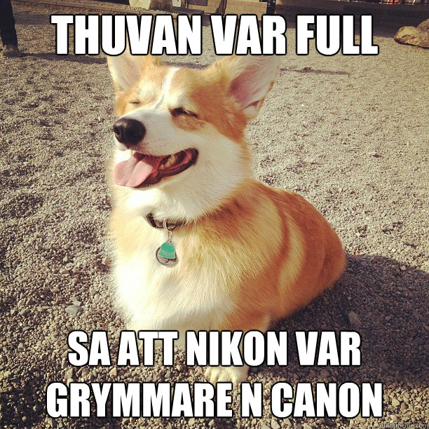 Thuvan var full  Sa Att nikon var grymmare än canon  Corgi Fridays