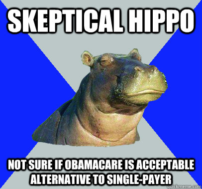 SKEPTICAL HIPPO Not sure if Obamacare is acceptable alternative to single-payer - SKEPTICAL HIPPO Not sure if Obamacare is acceptable alternative to single-payer  Skeptical Hippo