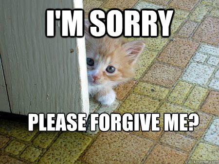 I'm sorry Please forgive me?  